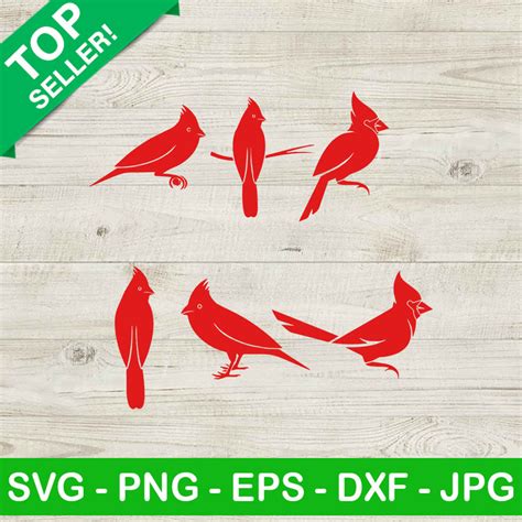 Cardinal SVG Cardinal Bundle SVG Cardinal Angel SVG