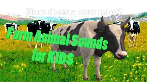 How Does A Cow Moo More Animal Sounds Youtube