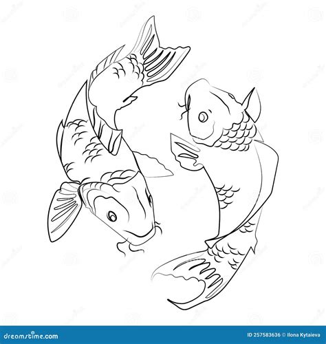 Two Koi Carps Vector Liner Illustration,japanese Koi Fish Line Drawing Isolated on White.Minimal ...