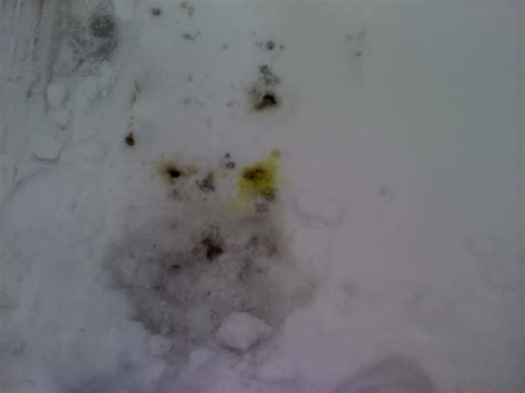 Yellow Fluid Leaking From Car In Snow