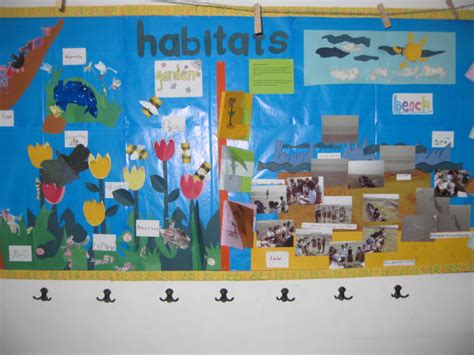 Habitats Classroom Display Photo Sparklebox