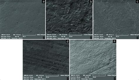 Scanning Electron Microscope Images Of Zirconia Surfaces A Control