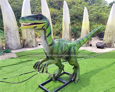 Life Size Velociraptor Animatronic Dinosaur Manufacturer Expert Kawah