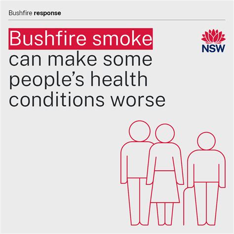 Bushfire Resources