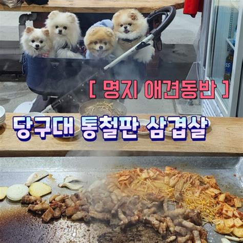 명지맛집 당구대통철판삼겹살명지애견동반식당 네이버 블로그