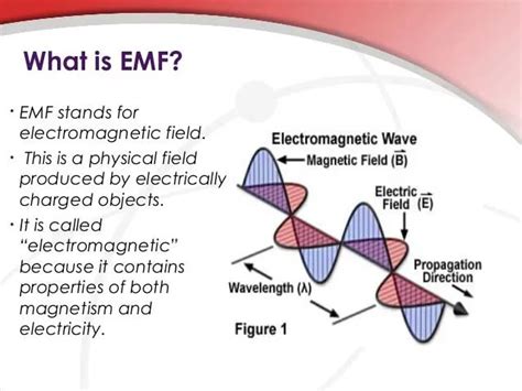 The Dangers Of EMF Exposure Medicalhealthinstitute