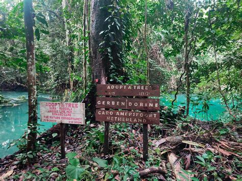 Desa Wisata Merabu Asik Permata Tersembunyi Di Kalimantan Timur Desa