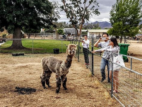 The 15 Best Things To Do In Hemet 2025 Must See Attractions