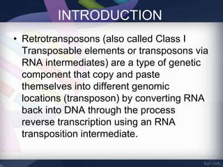 Retrotransposons Ppt