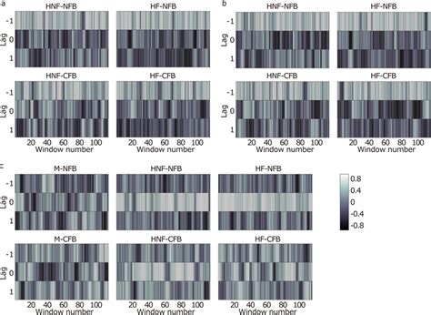 Sample Time Series Of The Windowed Cross Correlations In The Same