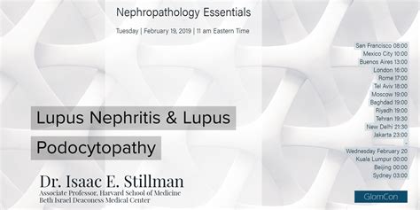 The Pathology Of Lupus Nephritis And Lupus Podocytopathy Part I Glomcon Pubs