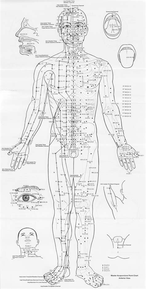 Acupuncture Points Chart Acupuncture Charts Acupuncture Points