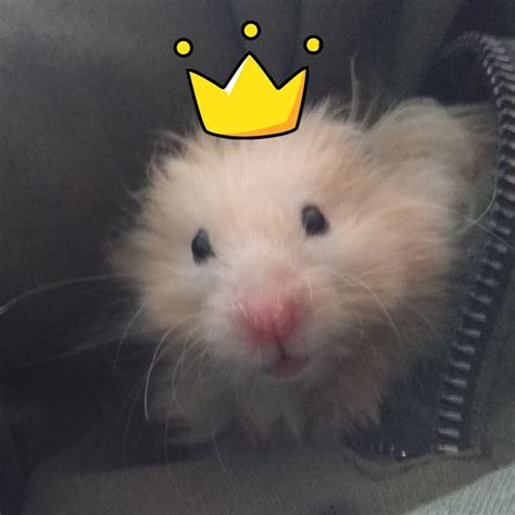 AL5GRJVpUbQ5VhJK3mQy3tqn0L2TO7575FpJzILlhzSpjg=s900-c-k-c0x00ffffff-no-rj