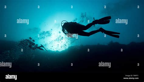 Scuba Divers Underwater The Great Blue Hole Belize Barrier Reef Lighthouse Reef Belize Stock