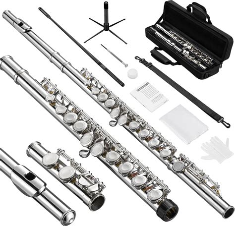 Pogolab Flute Closed Hole C Flute 16 Keys Student Flute With Split E