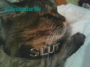 Amadora Morena Tímida Luscious Hentai Manga Porn