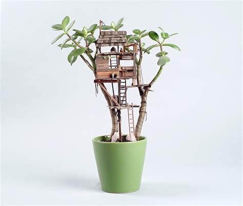 Houseplant Treehouses By Artist Jedediah Corwyn Voltz Booooooom