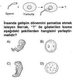 S N F Fen Bilimleri Nsanda Reme B Y Me Ve Geli Me Testi Z