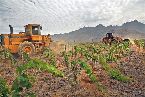 Chinecas Recupera Hect Reas De Terreno Invadido En Pampa Colorada