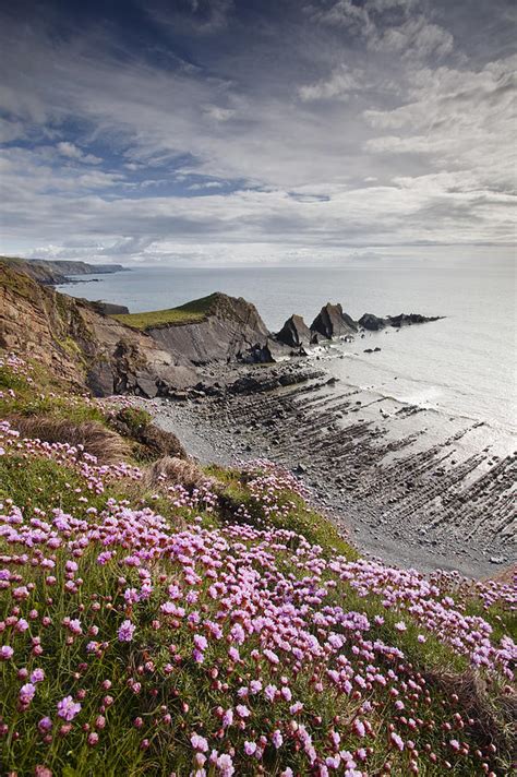 Hartland Quay On The North Devon Coastline Photograph by Julian Elliott Ethereal Light - Fine ...