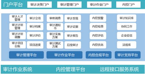 智慧审计平台 数字科智