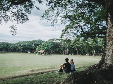 Up Diliman Sunken Garden Rphilippinespics