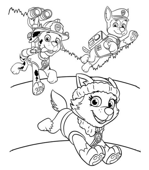 Chase Paw Patrol 9 Da Colorare Scarica Stampa O Colora Subito Online