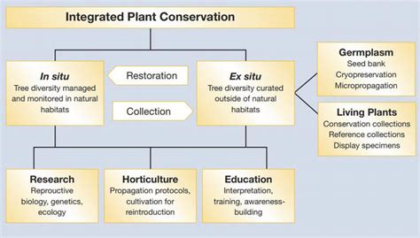 Germplasm Conservation Intechopen