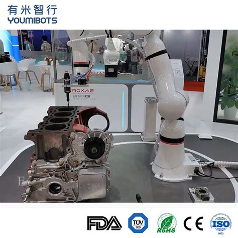 Industrial Youmibots seis ejes Robot brazo robótico China 7kg de carga