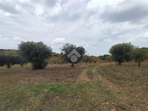 Ter Agricolo In Vendita A Polignano A Mare Triggianello Bari 50