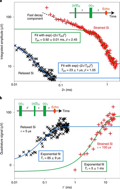 T H And T Measurements A B Spin Echo Signals For The Strained Red