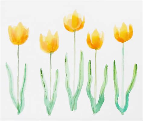 Aquarell Tulpen Malen 6 Schritte Anleitungen