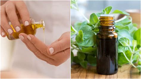 Beneficios Del Aceite De Or Gano Para La Salud Est Tica