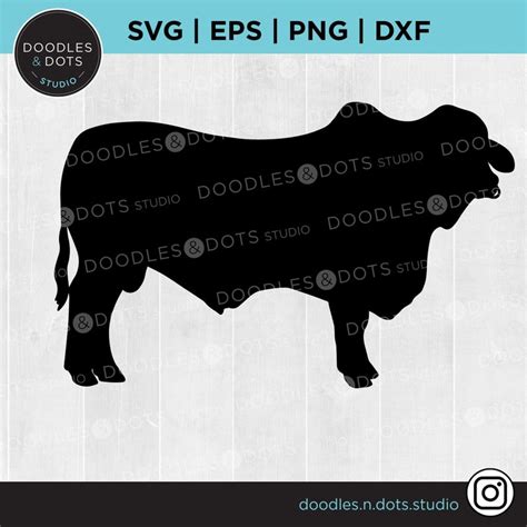 Bull SVG Beef Cow Beef Cattle SVG For Cricut Beef Rancher Etsy