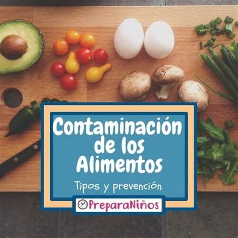 Contaminaci N De Los Alimentos Gu A F Cil El Manipulador De Alimentos