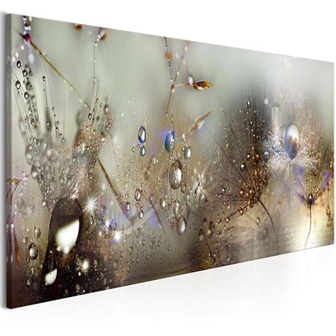 PUSTEBLUME WASSERTROPFEN TAU Wandbilder Xxl Bilder Vlies Leinwand B C