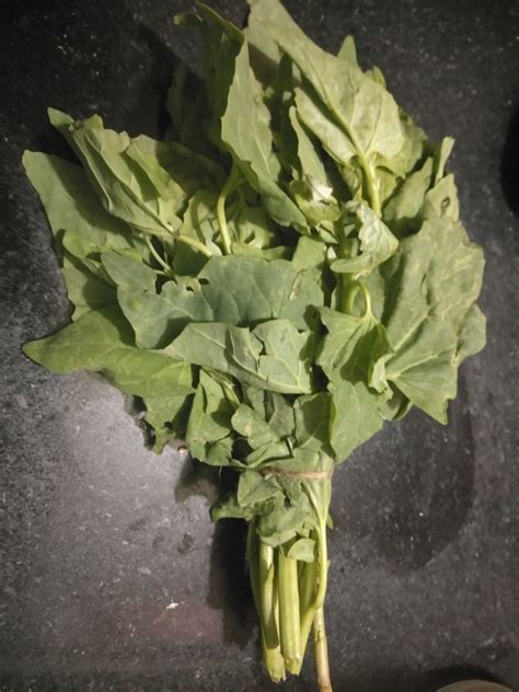 Bathua Thepla Recipe Indian Flatbread With Bathua Leaves Delishably