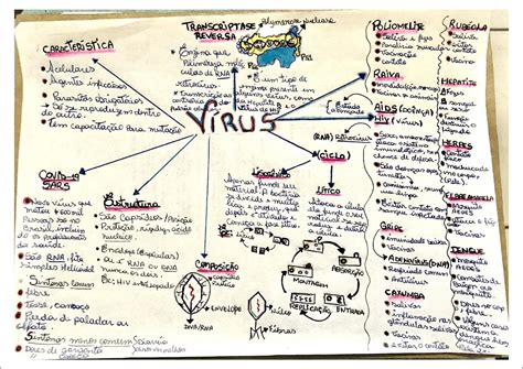 Mapas Mentais Sobre V Rus Study Maps