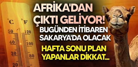 Afrika dan çıktı geliyor Perşembe günü Sakarya da olacak Hafta sonu