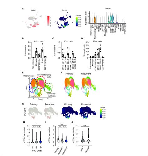 Pd 1 Is Dominantly Expressed By Cd8 T Cells In Brain Tumor Tissues A