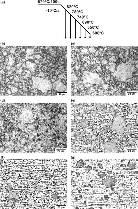 Microstructures Of Segregated Samples Quenched From Different