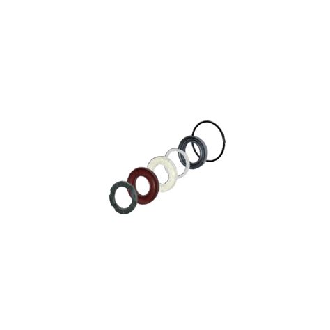 Dolly Kit A42171 Sealing Rings ANNOVI REVERBERI Series 402 RG RGA