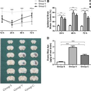 Cerebrolysin Treatment Improves Neurological Function And Reduces The