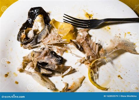 Fish Waste Lying On A Dirty Plate After Dinner Stock Image Image Of