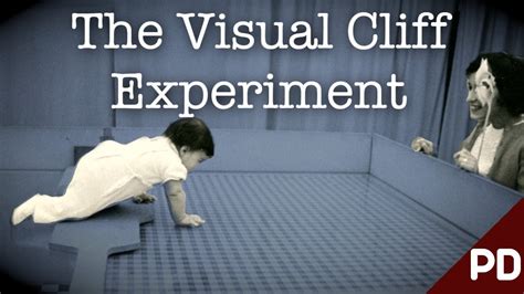 The Dark Side Of Science The Baby Cliff Experiment 1960 Short