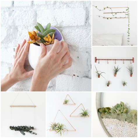 Decoración Fácil 6 Ideas Handmade Para Decorar La Pared Con Plantas