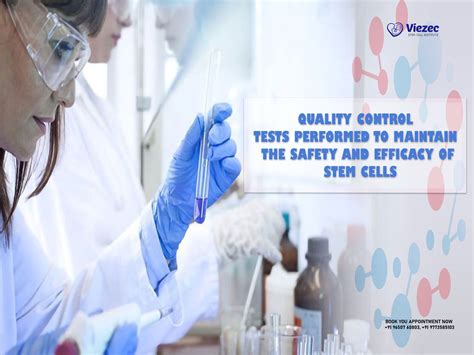 Tests Performed To Maintain The Safety And Efficacy Of Stem Cells