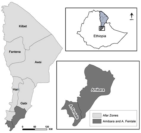 Left: Afar region divided by its five administrative zones. Upper ...