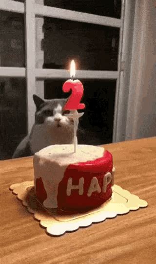 Happy Birthday Cat GIF - HappyBirthday Cat Blow - Discover & Share GIFs