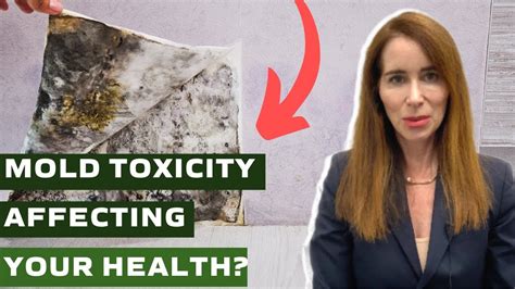 Is Mold Toxicity Affecting Your Health